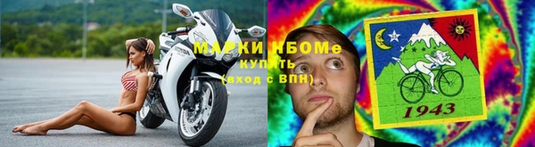 гидра Дмитров
