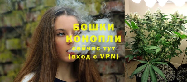мет Гусев