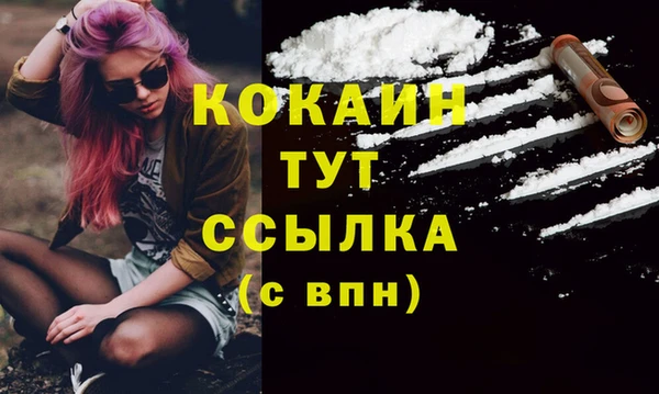 эйфоретик Дмитриев