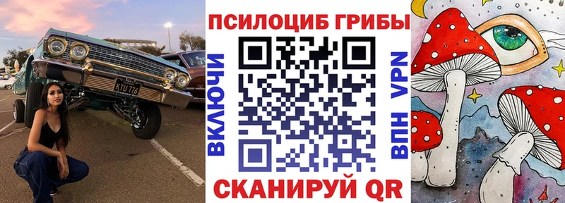 Купить закладки  Бирск  Псилоцибиновые грибы прущие грибы 